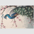 Buscar pavo real papel de seda Flores