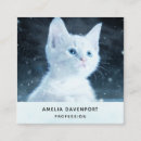 Buscar animales domésticos tarjetas de visita 9 º gata