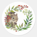 Buscar ardilla linda pegatinas Para todos