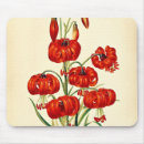 Buscar lirio rojo alfombrillas de raton Flores