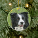 Buscar border collie adornos Lindo