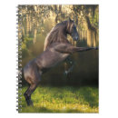 Buscar montañas rocosas cuadernos Árboles