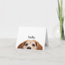 Buscar funny dog tarjetas Lindo