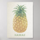 Buscar vacaciones de hawaii posters Aloha