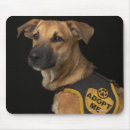 Buscar adopte electronica Animales