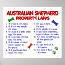 Buscar pastor australiano posters Lindo