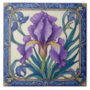 Buscar iris púrpura azulejos Morado