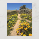 Buscar noventa postales Para todos