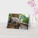 Buscar perro durmiendo tarjetas Perros