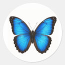Buscar azul iridiscente pegatinas General y unisex