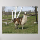 Buscar presa posters Imprimir