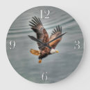 Buscar el oc arte Águilas calvas