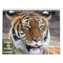 Buscar amantes animales calendarios Vida silvestre