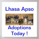 Buscar lhasa apso arte Perro