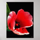 Buscar jardinero posters Para ellos