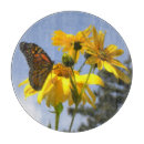 Buscar mariposa monarca tablas cortar Mariposas