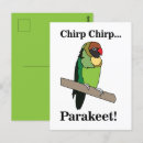 Buscar paracaídas postales Budgie