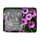 Buscar violeta imanes Plantilla