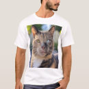 Buscar fotos del gato camisetas Gatos