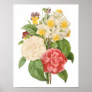 Buscar camelia posters Retro