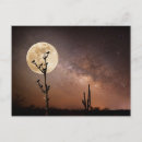Buscar luna y estrellas postales Desierto