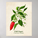 Buscar pimientos picantes posters Verduras