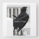Buscar pájaro negro relojes de pared Para todos