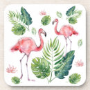 Buscar flamencos rosados posavasos Ilustracion