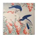 Buscar cazadores azulejos Para todos