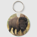 Buscar bisontes llaveros Americano