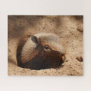 Buscar agujeros puzzles Desierto