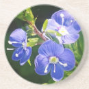 Buscar gato bonito posavasos Naturaleza