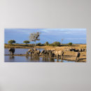 Buscar busho posters Elefante