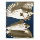 Buscar sepia cuadernos Concha