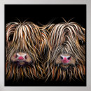 Buscar cute cow posters Scottish