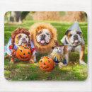 Buscar disfraz halloween de alfombrillas de raton Divertido