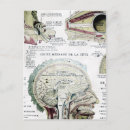 Buscar anatomía del vintage postales Ilustracion