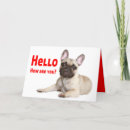 Buscar amor del perro tarjetas Para todos