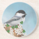 Buscar pequeño pájaro posavasos Naturaleza