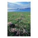 Buscar gulin del darrell posters Prado