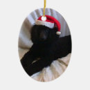 Buscar caniche estándar adornos Navidad