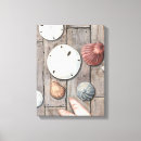 Buscar marinos lienzos Concha de mar