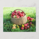 Buscar mentiras postales Para ellos