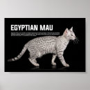 Buscar gato egipcio posters Gatito