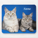 Buscar gatos grandes alfombrillas de raton Gatito