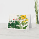 Buscar rudbeckia tarjetas Floral