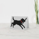 Buscar labrador negro tarjetas Retriever