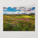 Buscar siberia postales Paisaje