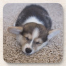 Buscar pet cristaleria bar Pembroke welsh corgi
