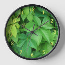 Buscar plantas verdes relojes de pared General y unisex